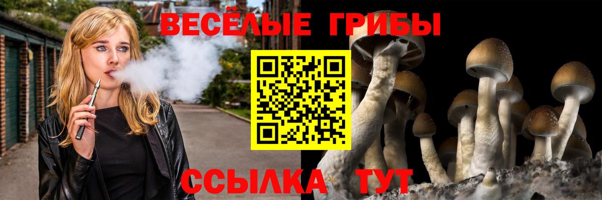 Галлюциногенные грибы Psilocybine cubensis Великий Устюг